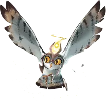Card illustration for The Guardian's Owl